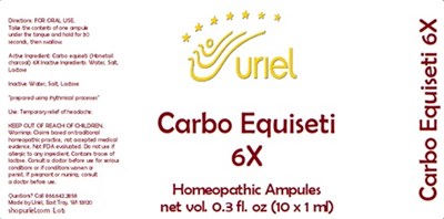 Carbo Equiseti 6x Ampules (Carbo Equiseti 6x Ampules)
